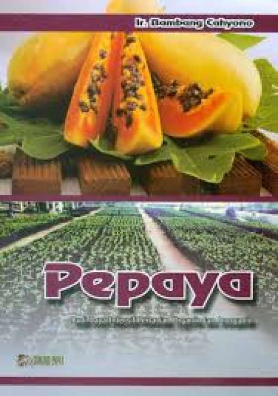 Cover Buku
