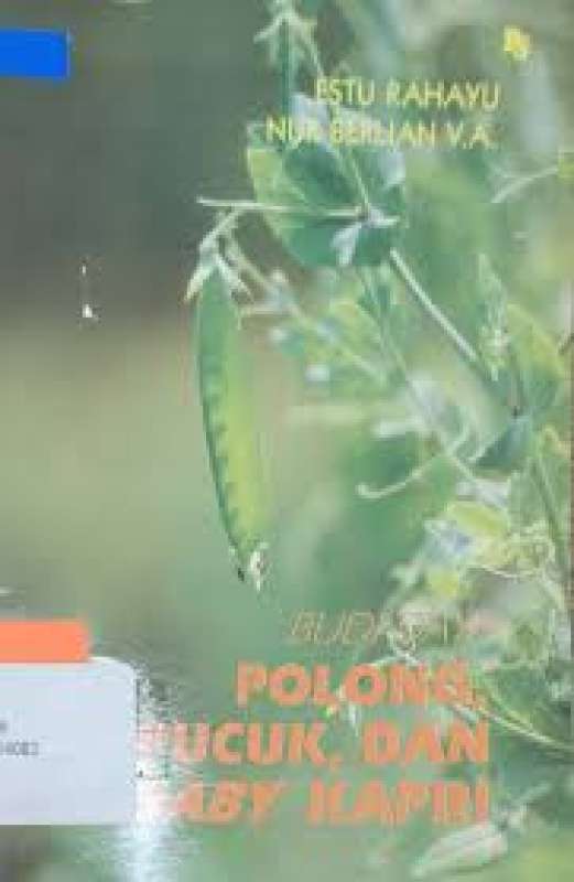 Cover Buku