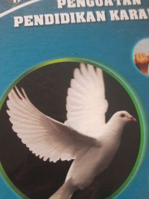 Cover Buku